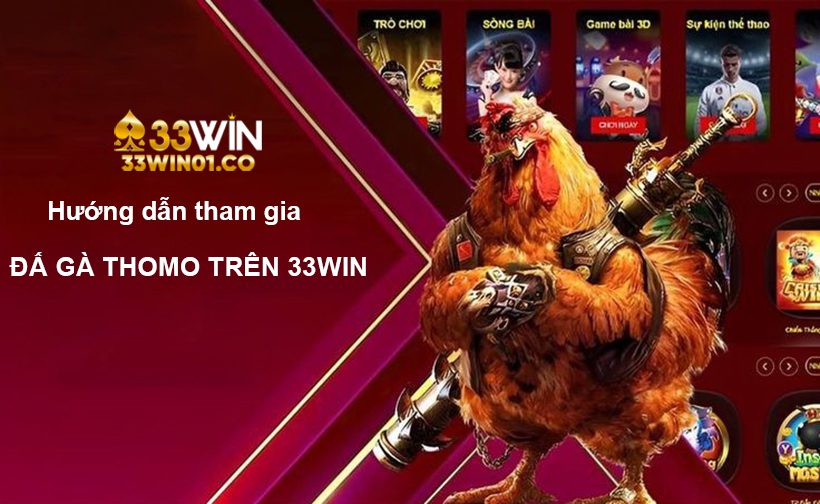 Đá Gà Thomo - Đấu Trường Sôi Động, Trải Nghiệm Đỉnh Cao Đăng ký tham gia đá gà thomo tại 33win với 4 bước